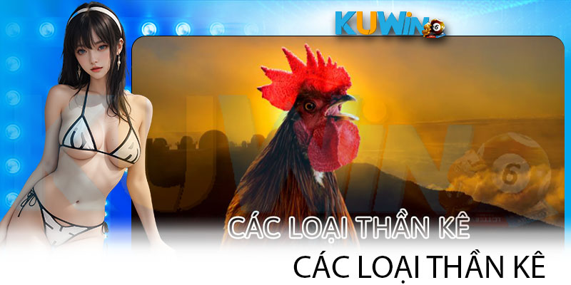 Các Loại Thần Kê Nổi Danh Bạn Không Thể Bỏ Qua Khi Xem Đá Gà