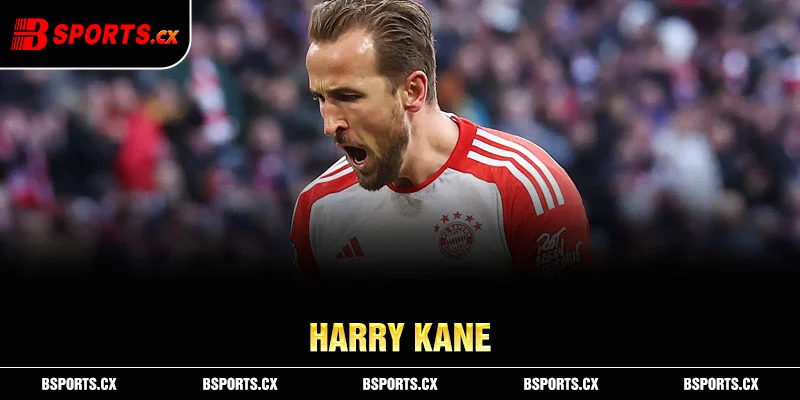 Ảnh: Harry Kane